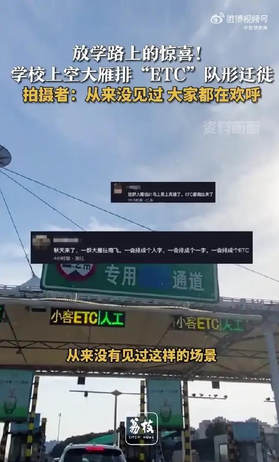 活久见！3月11日，不少家长接娃时偶遇这神奇一幕，雁群整齐划一，酷似ETC标识，