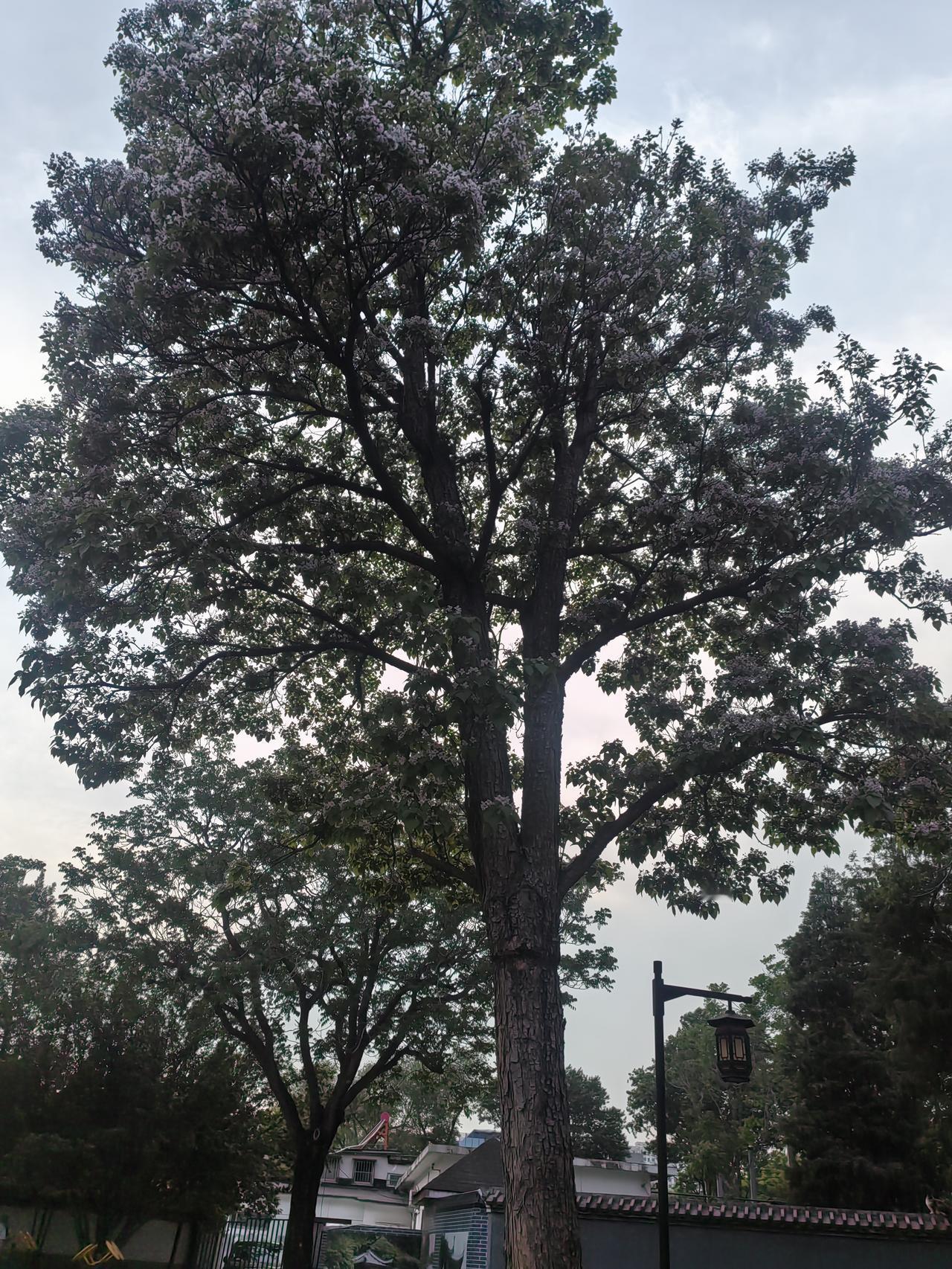 我是代课三个月，暂时又是教师。前几天津南区赖老师上热搜。赖老师理亏在先