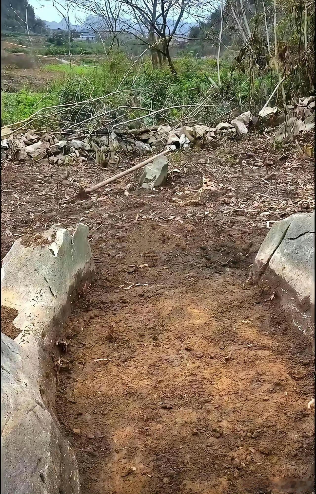 地里挖出来的，感觉造型很独特，这算不算是风水宝地呀？