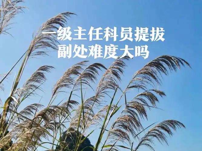在我们整个大家族里，我小叔绝对是全家仕途的天花板。目前任职地级市发改委副主任，实