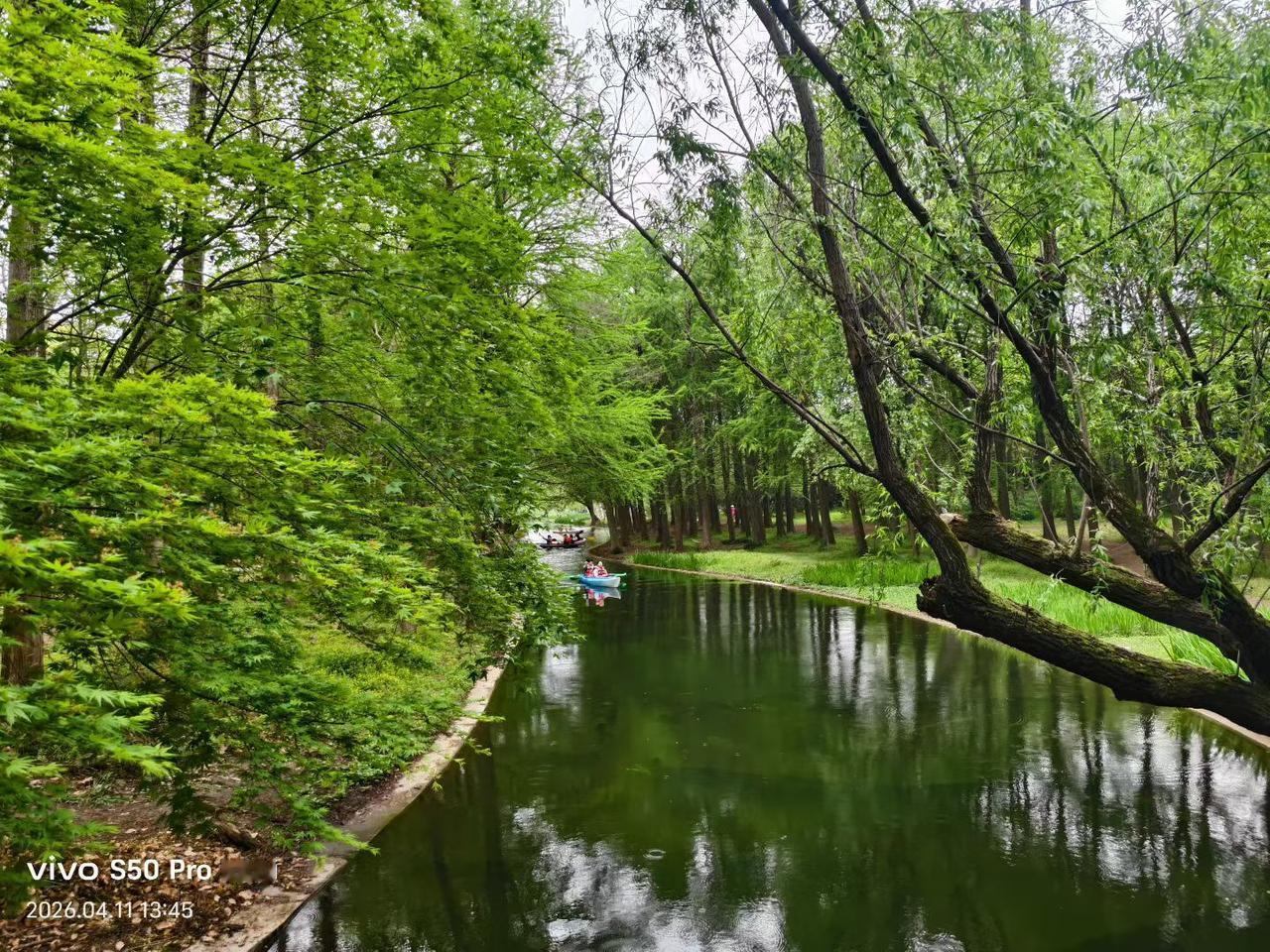 这个公园还不错，风景美如画，应该去看看。春日迟迟，卉木萋萋。如此多雨的四月