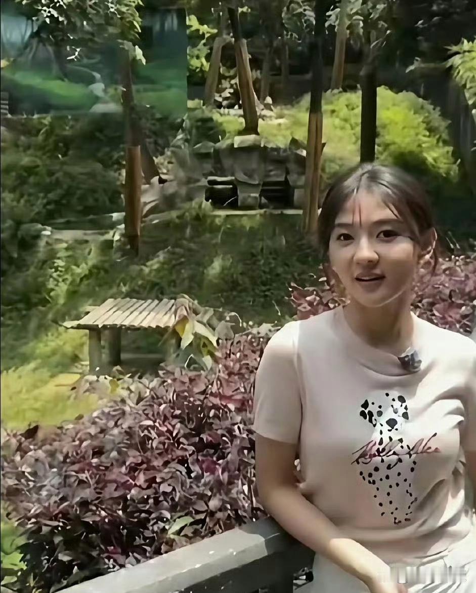 我笑炸了，这是陈哲远和杨迪用同一个设备拍的梁洁