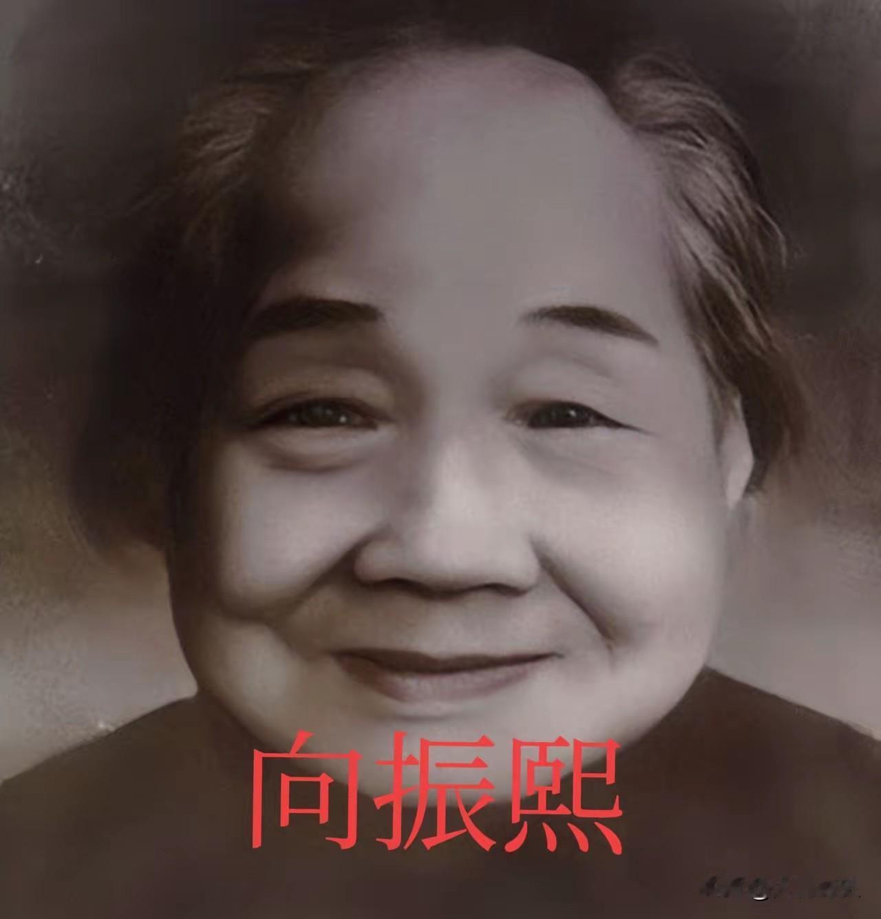 1949年开国大典当天，杨开慧的母亲向振熙撕心裂肺哭喊：开慧啊，你听见了吗？​