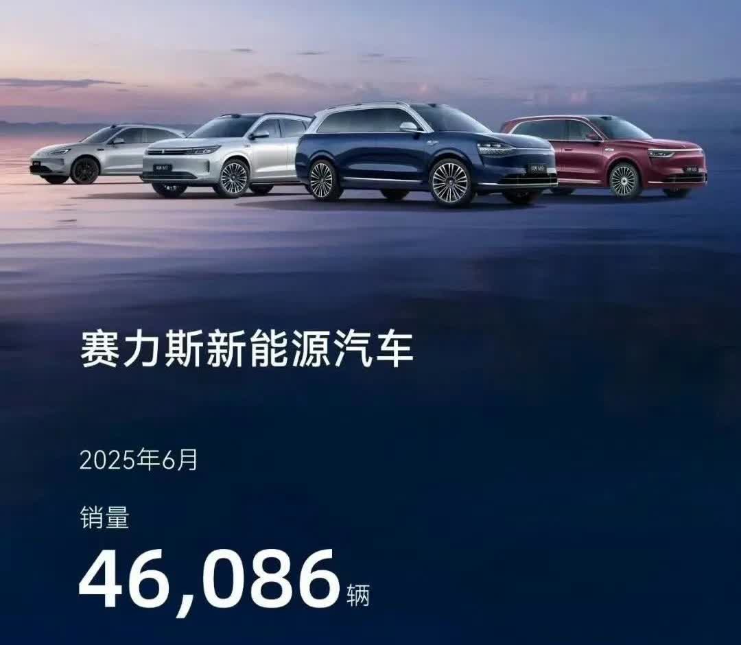 重磅！赛力斯上半年成绩单出来了！2025年1-6月销量172108台！对此了