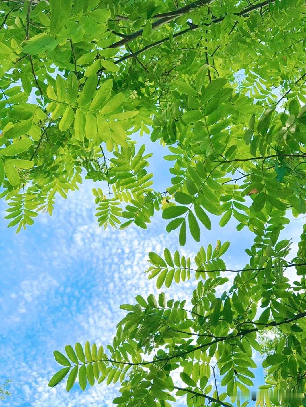 你听过哪些温柔治愈的句子?允许一切发生，也接受所有结果。风会带走烦恼，光会照亮前