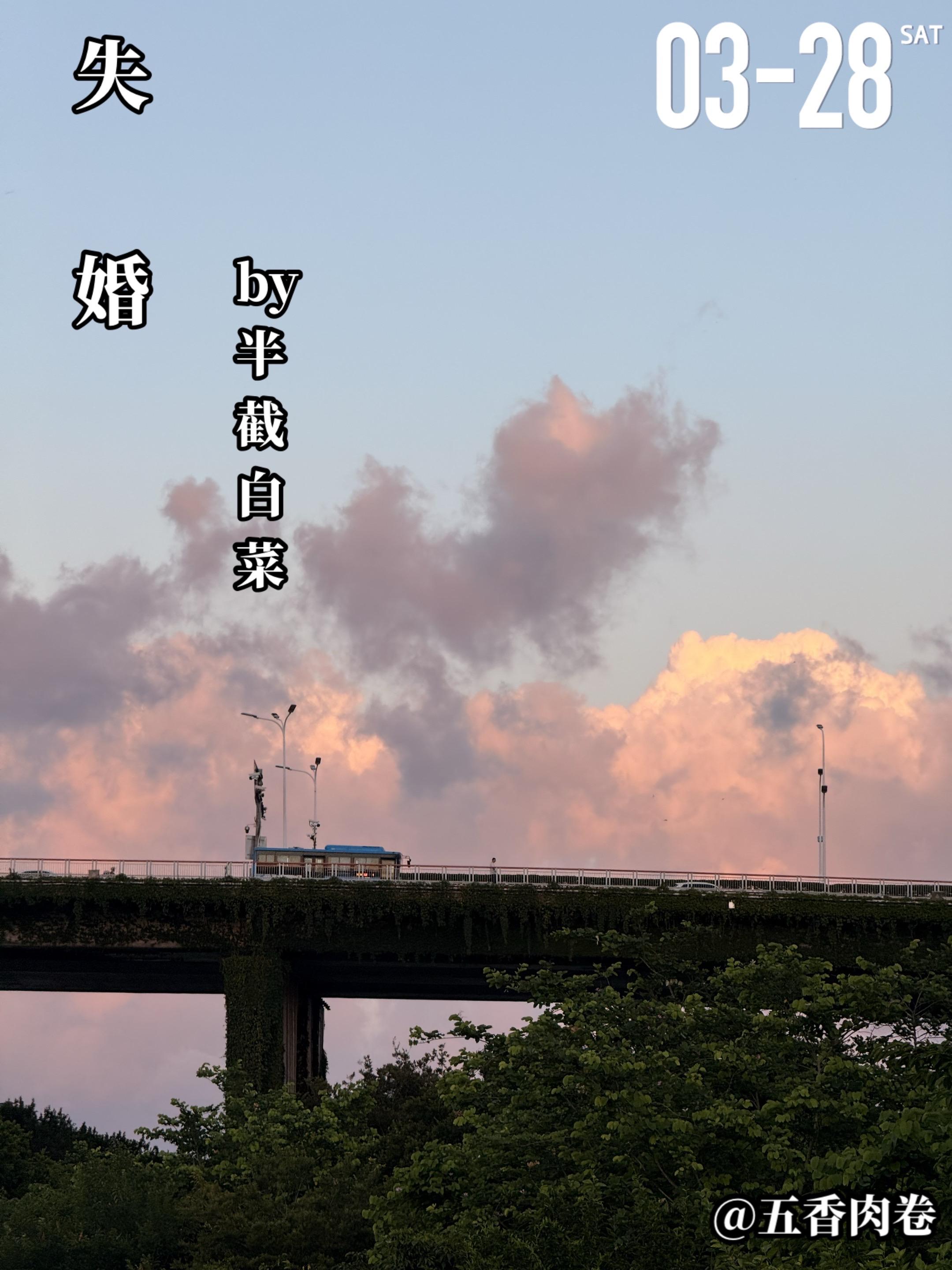 《失婚》by 半截白菜。苏好（女主）与周扬（男主）相识于年少时期，她对...