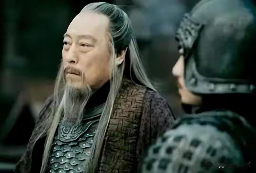 古代中国伦理中，儿子对一个家庭是最重要的，论养儿子的重要，司马懿七十多岁敢冒着灭