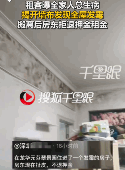 金漆其外，败絮其中！7月26日报道，深圳，一女子租房后，全家频频生病却找不到原因