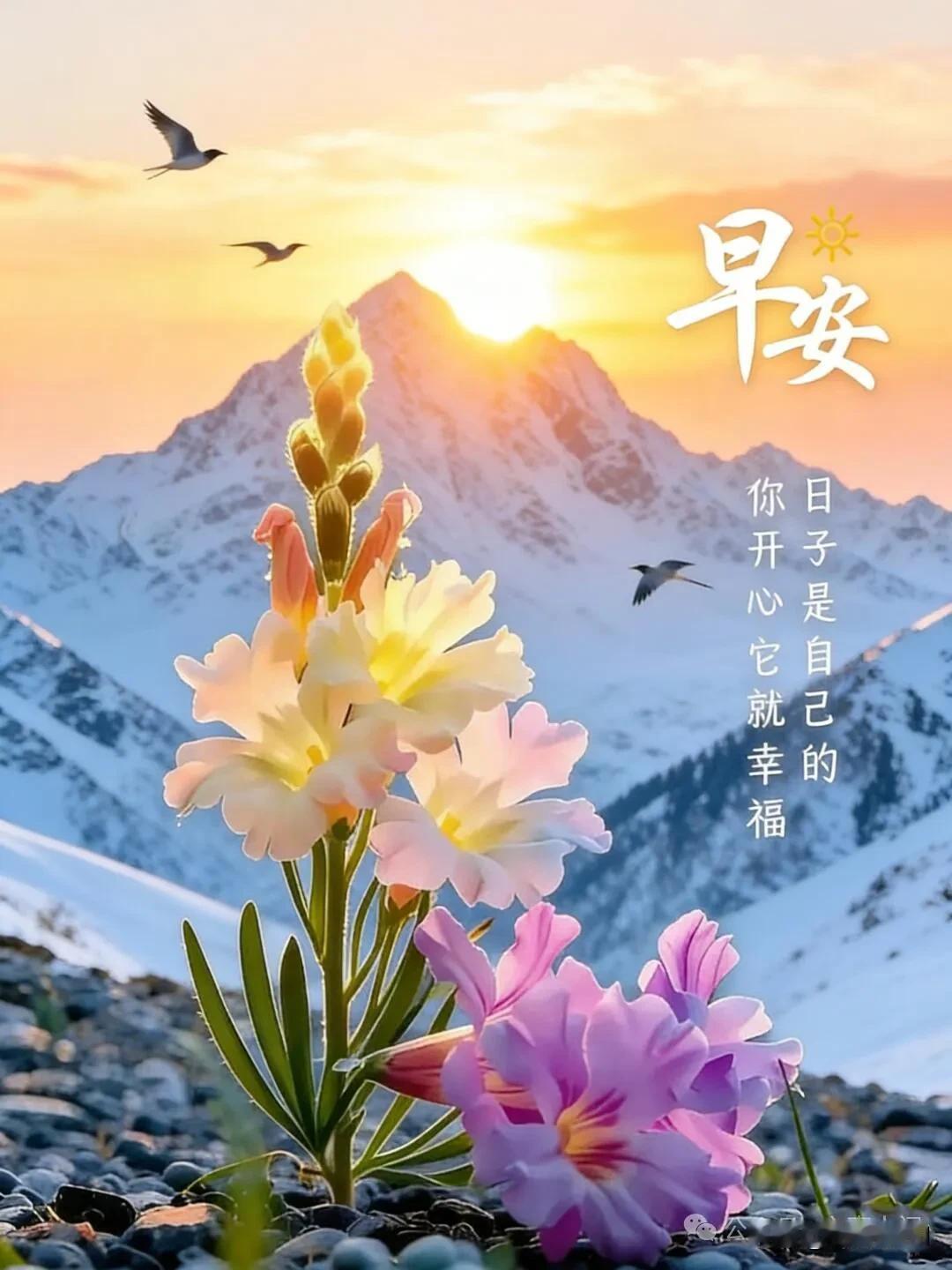 日出启新程，不求万般圆满，只愿平安常在，心中常有暖意，岁岁皆无忧。