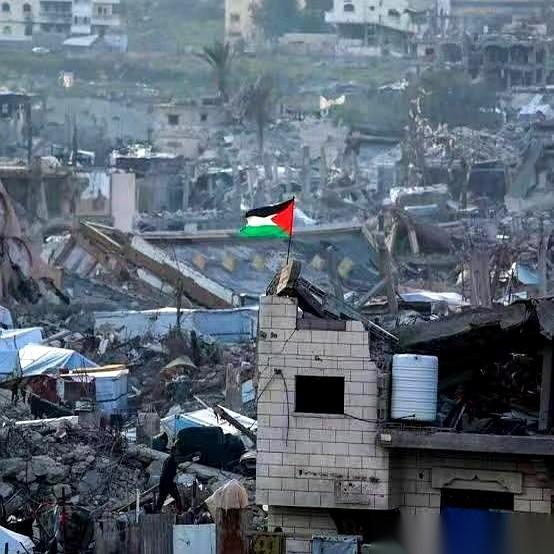 哈马斯决定投降了。他们准备交出所有武器，连带着那张藏着无数秘密的地道图纸，一并