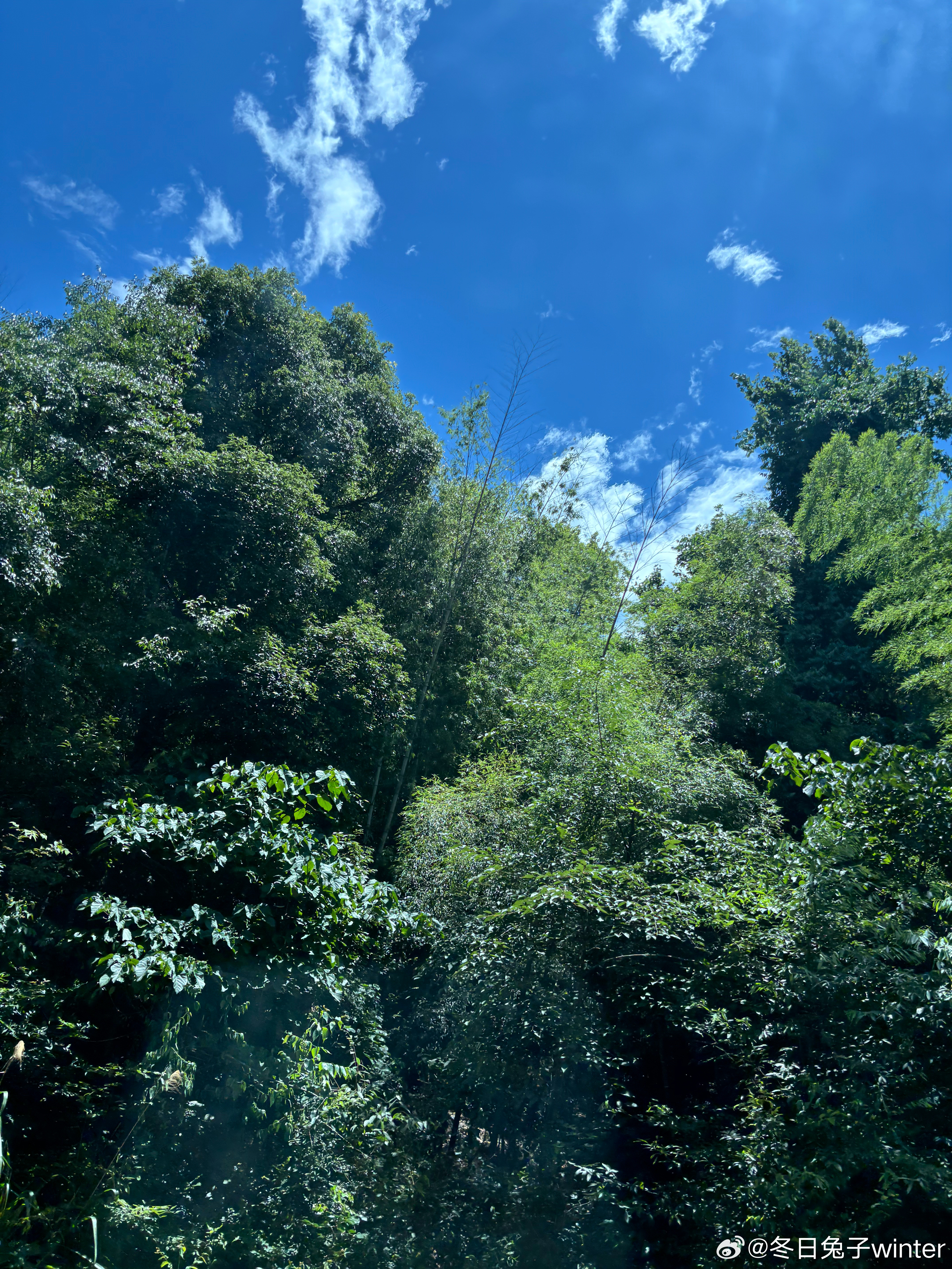 暑假出游，大热天有人去漂流，有人去登山～下水漂流还能抓到鱼，不知