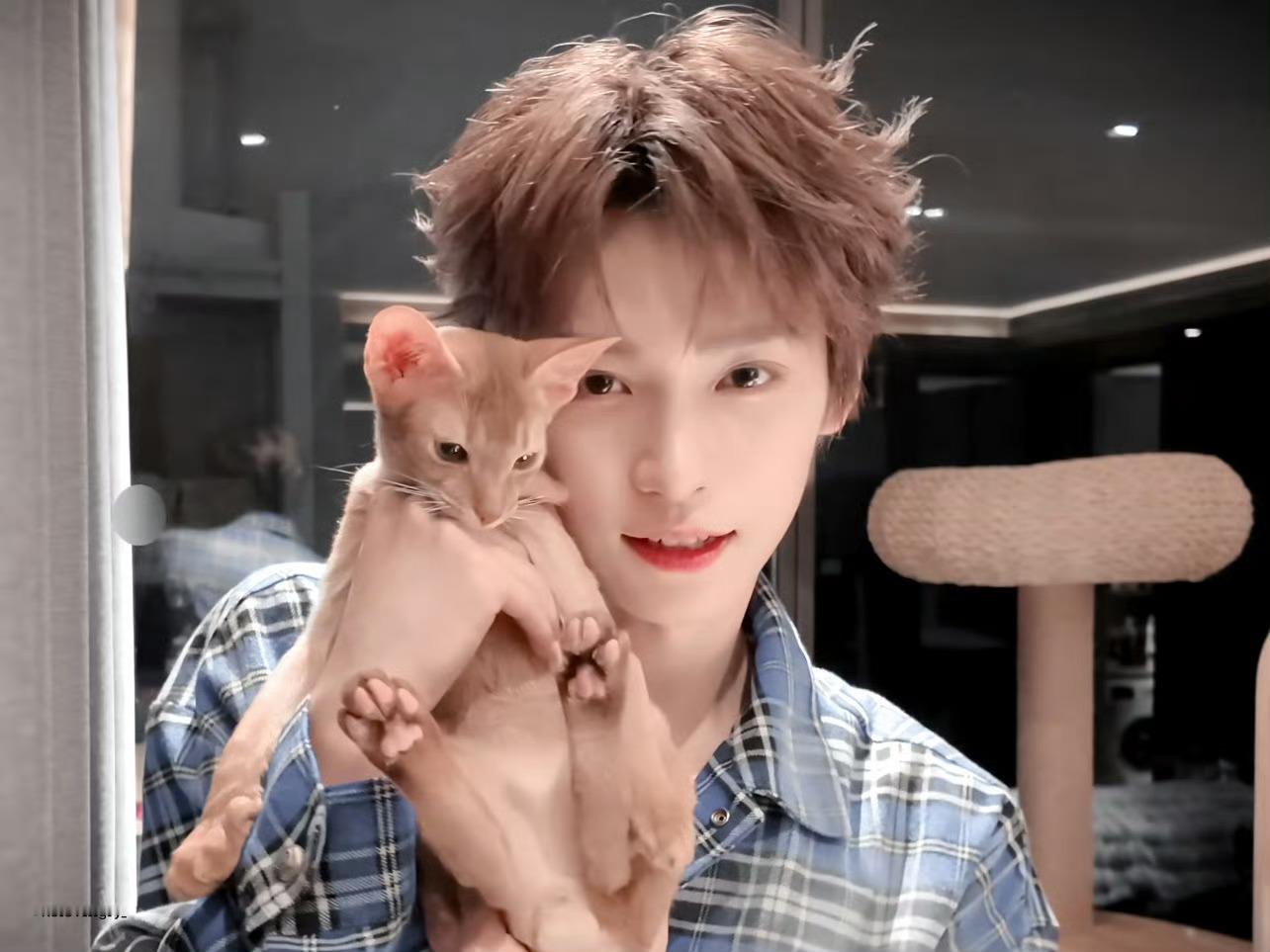 梓渝工作室vlog我有猫猫电话你有吗