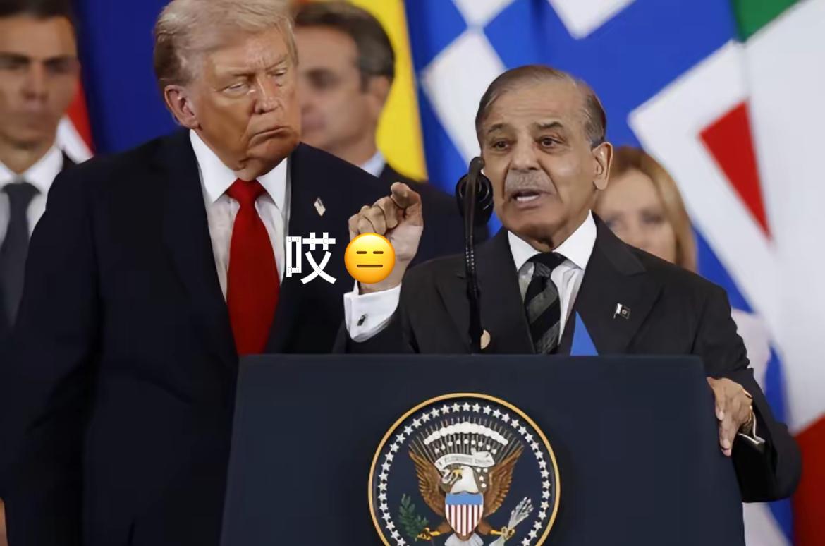 巴基斯坦的天彻底塌了！谁也没想到，那个曾经被视为国家守护神的铁腕人物，竟然在一夜