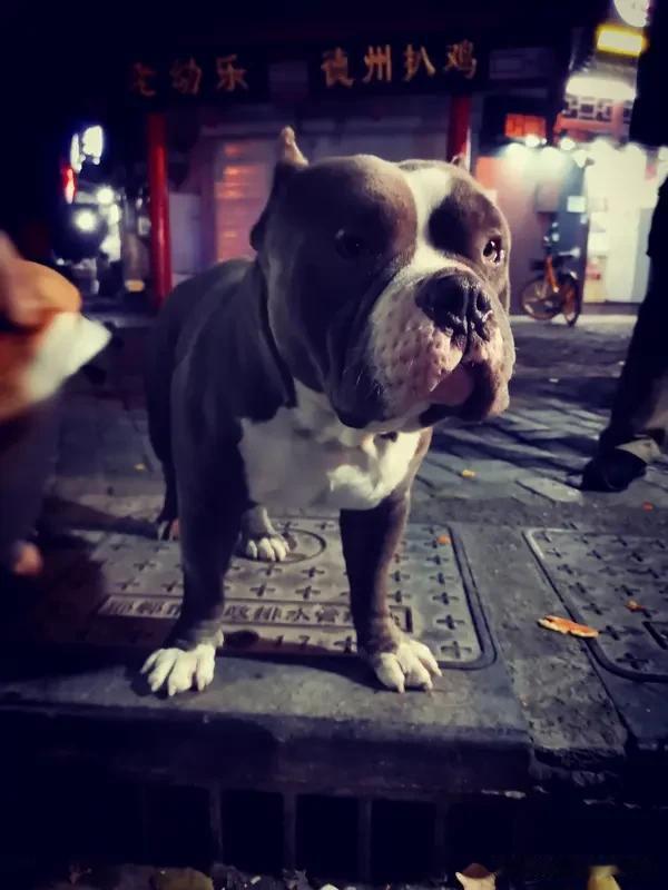 别觉得善良之人就好欺负，他们不过是心地仁善，不愿计较罢了。可别把人家的善良当作你