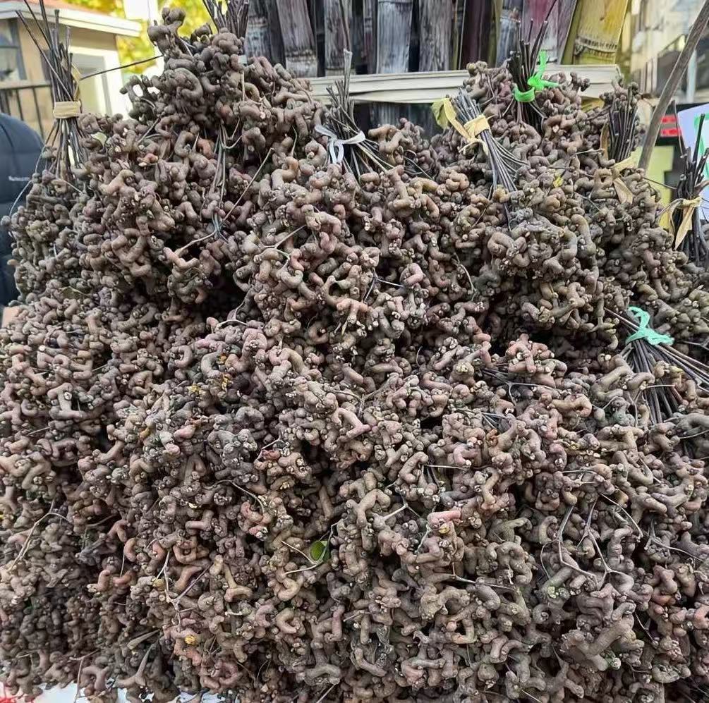 我小的时候，这个水果2分钱一把，现在15元一斤。你吃过吗？