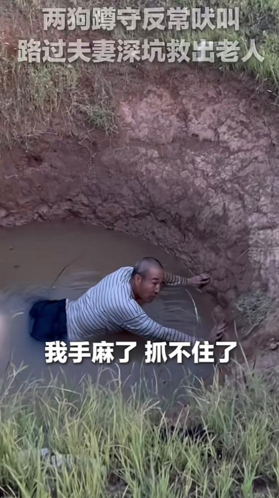 央视新闻点赞！济南大爷泡深水坑半小时濒临失温，00后新婚妻子急中生智，喊丈夫脱裤