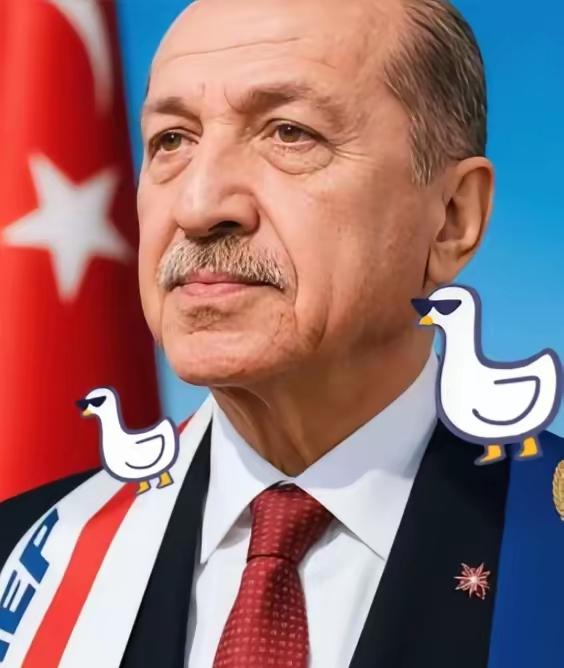 这次土耳其算是彻底打错了算盘！以为还能像当年卡我们航母那样，逼着中国企业低头。结