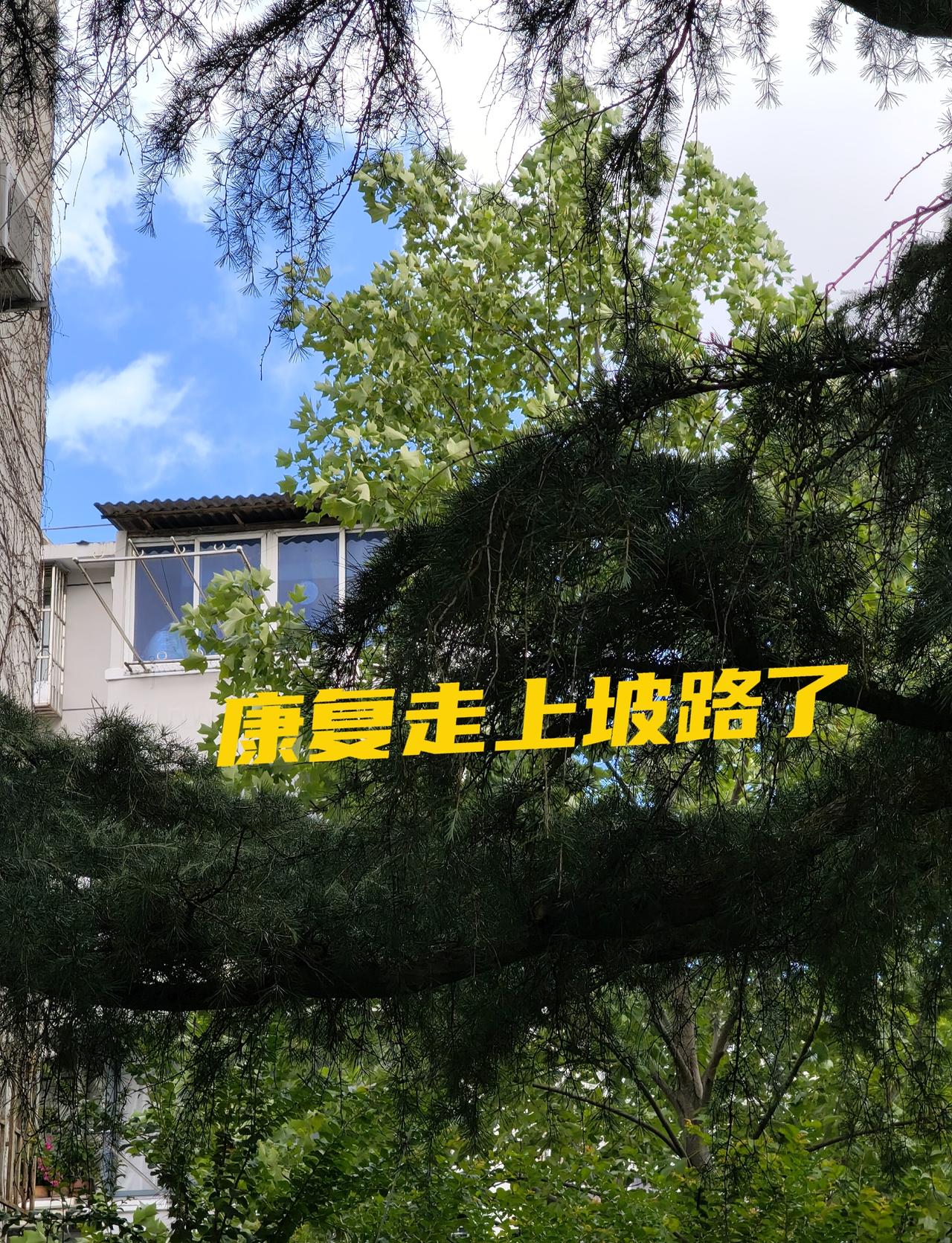 从康复走上上坡路的9个标志1️⃣精神头足了。眼里有光，心里有劲，愿意跟