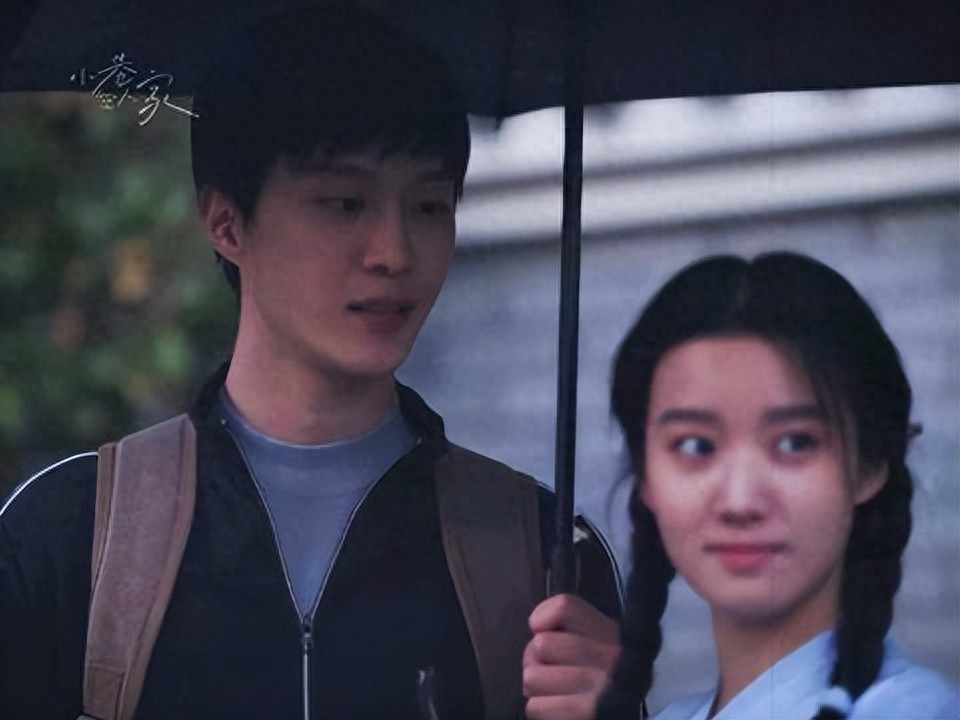 小巷人家:为弟弟打官司争房产,算计庄图南婚姻,李佳才是真狠人