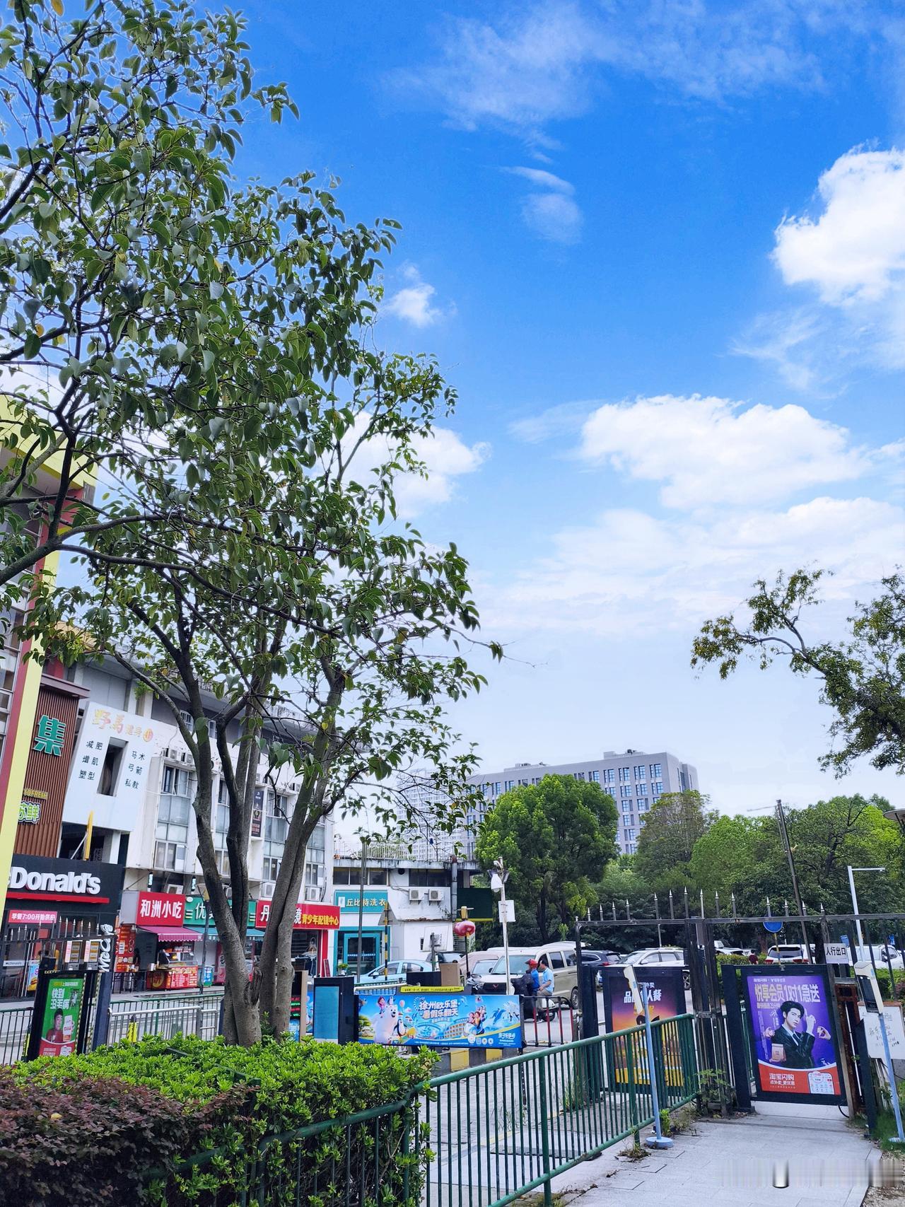 南京这天气简直是个“善变怪”！今天最高34度，虽说三伏天里不算破纪录的热，但市气