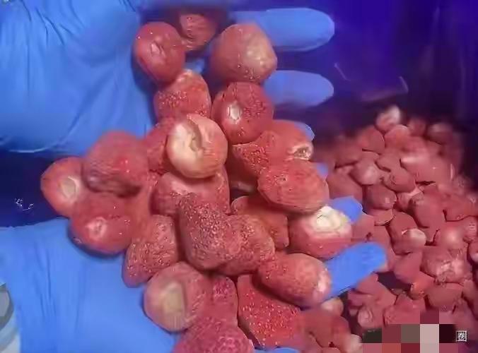 看到冻干草莓的新闻，我瞬间崩溃了，看着冰箱里的两大包冻干草莓，瞬间没了胃口。这