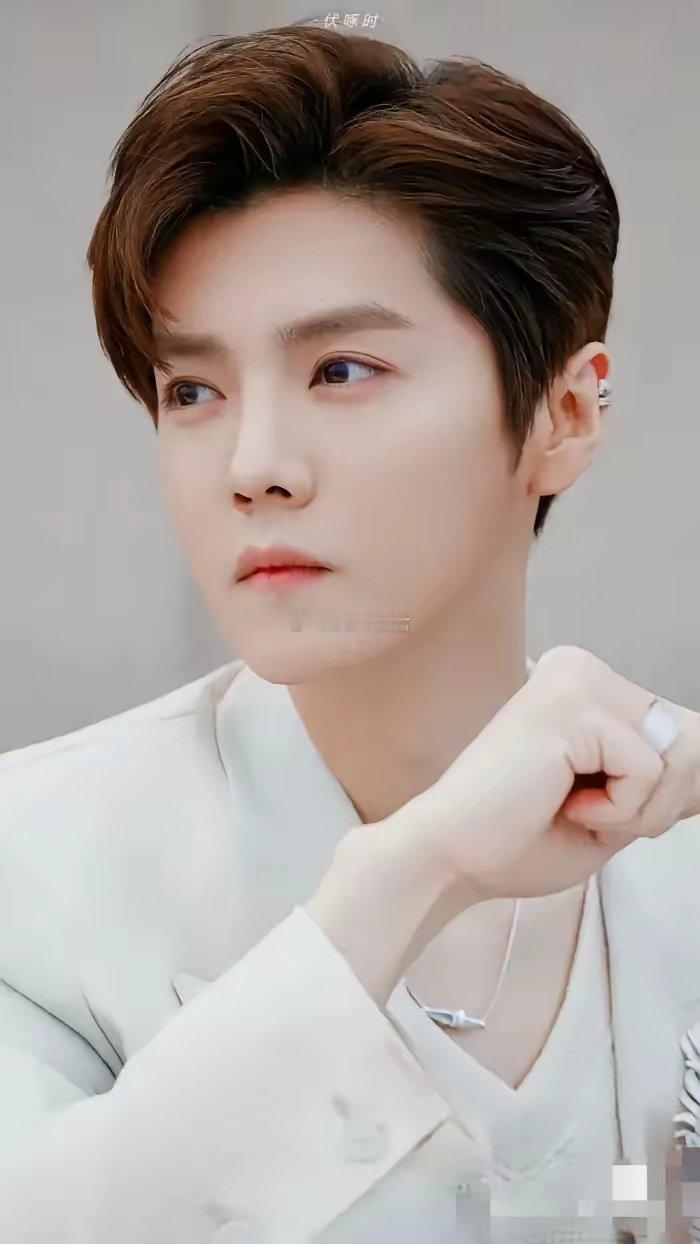 鹿晗这人，我是真的搞不懂了，明明就是一级顶流爱豆，会唱歌也会演戏，但是怎么会商务