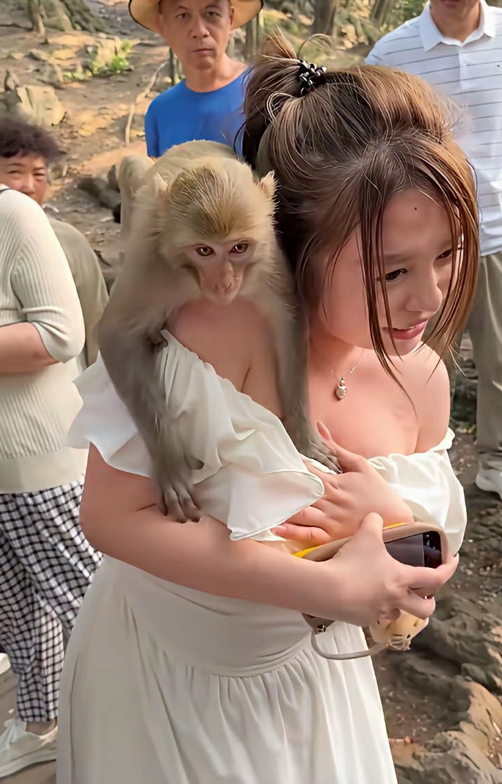美女在黔灵山被泼猴欺负了，围观的看客无人相帮。
