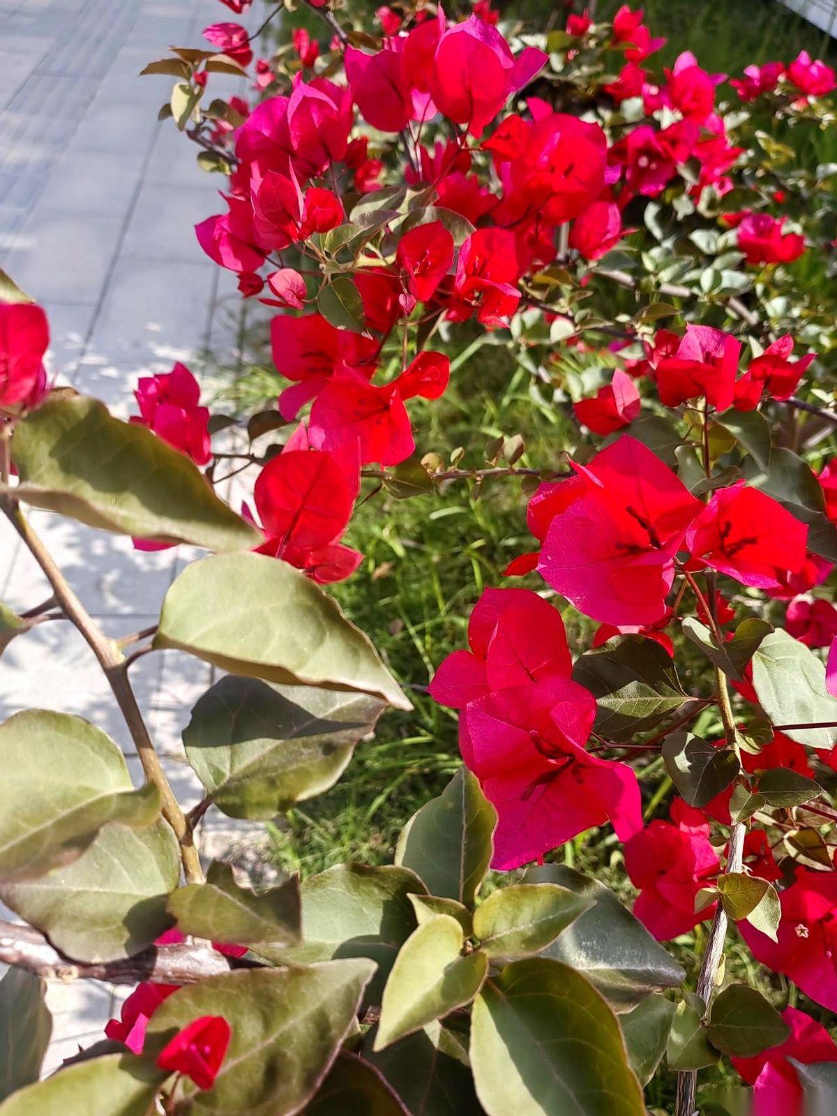 二婚的饭桌上，最怕对方手机突然亮一下，屏幕上弹出来一条转账五千的记录。你这边刚