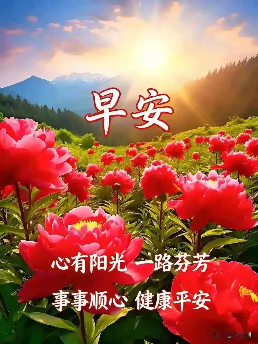 日子缓缓向前，不必强求事事圆满。用心感受平凡里的小美好，珍惜身边温暖的陪伴。遇到