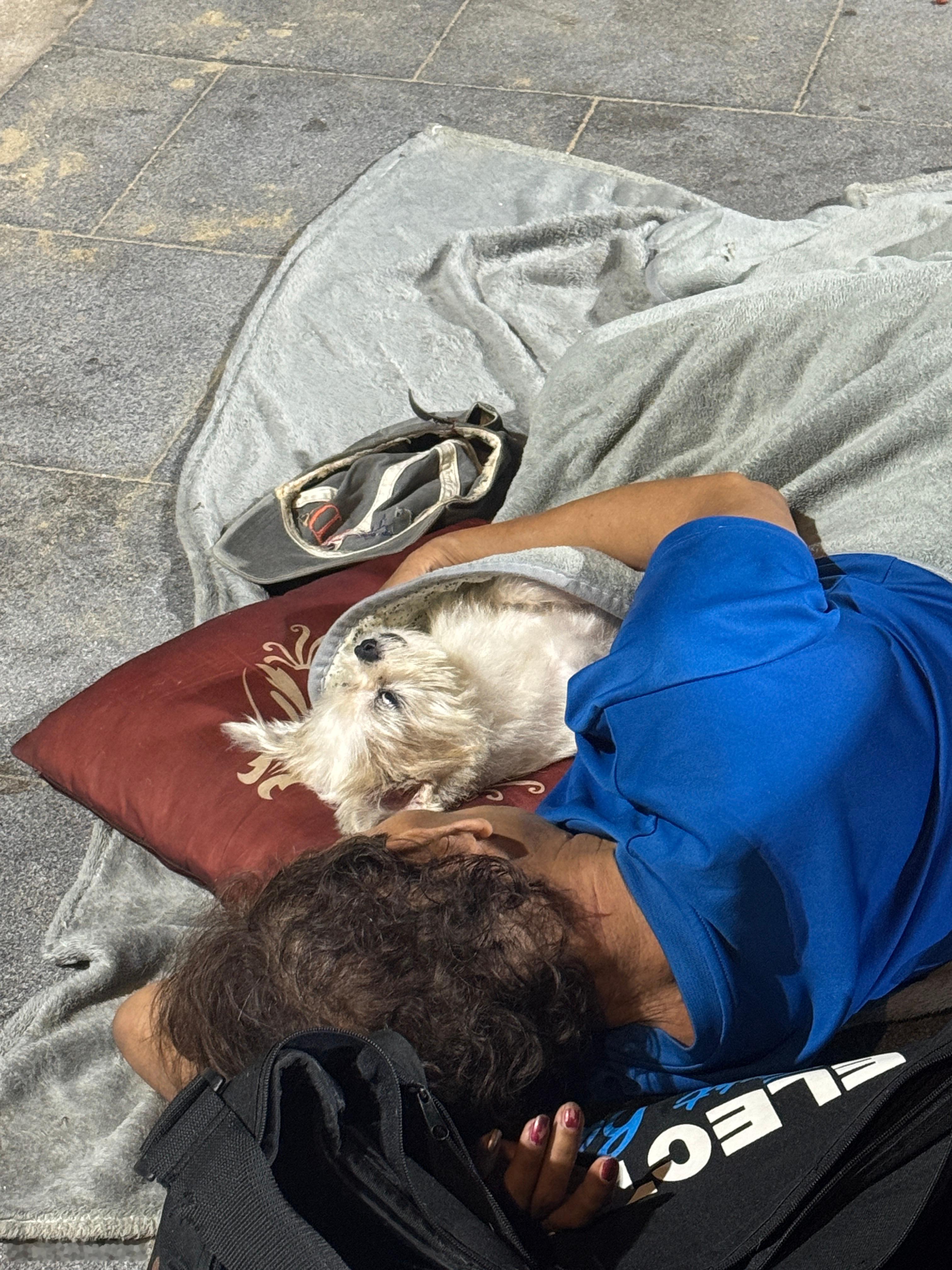 虽然是流浪狗，至少有一个很爱它的主人泰国·芭提雅海滩