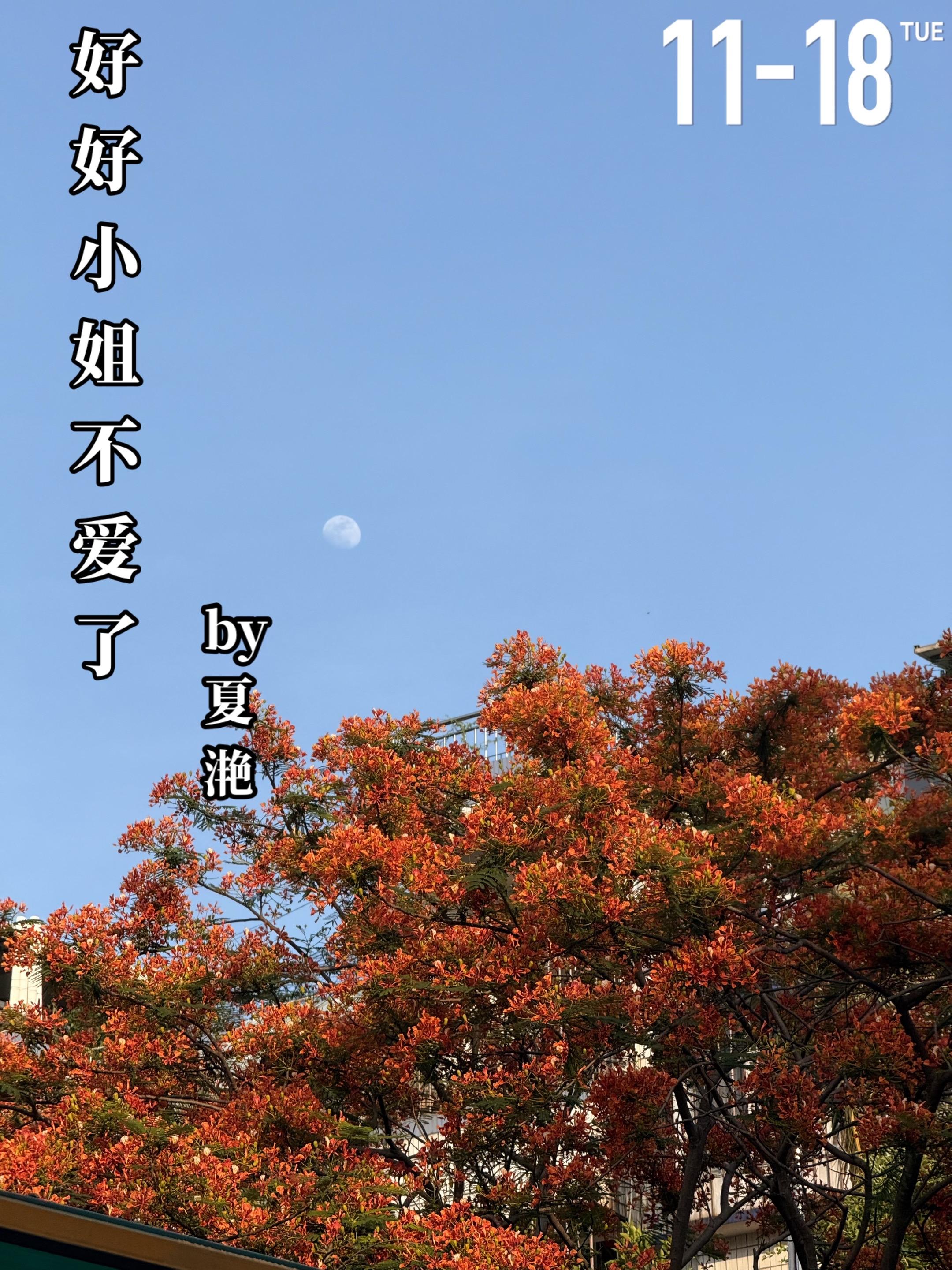 《好好小姐不爱了》by夏滟 杜乐茵（女主）与简础洋（男主）因为一场婚礼...