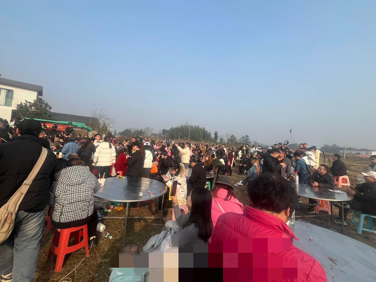 呆呆家的两头猪暖了整座城！合川文旅做的太到位了！合川志愿者说：今天当志愿者