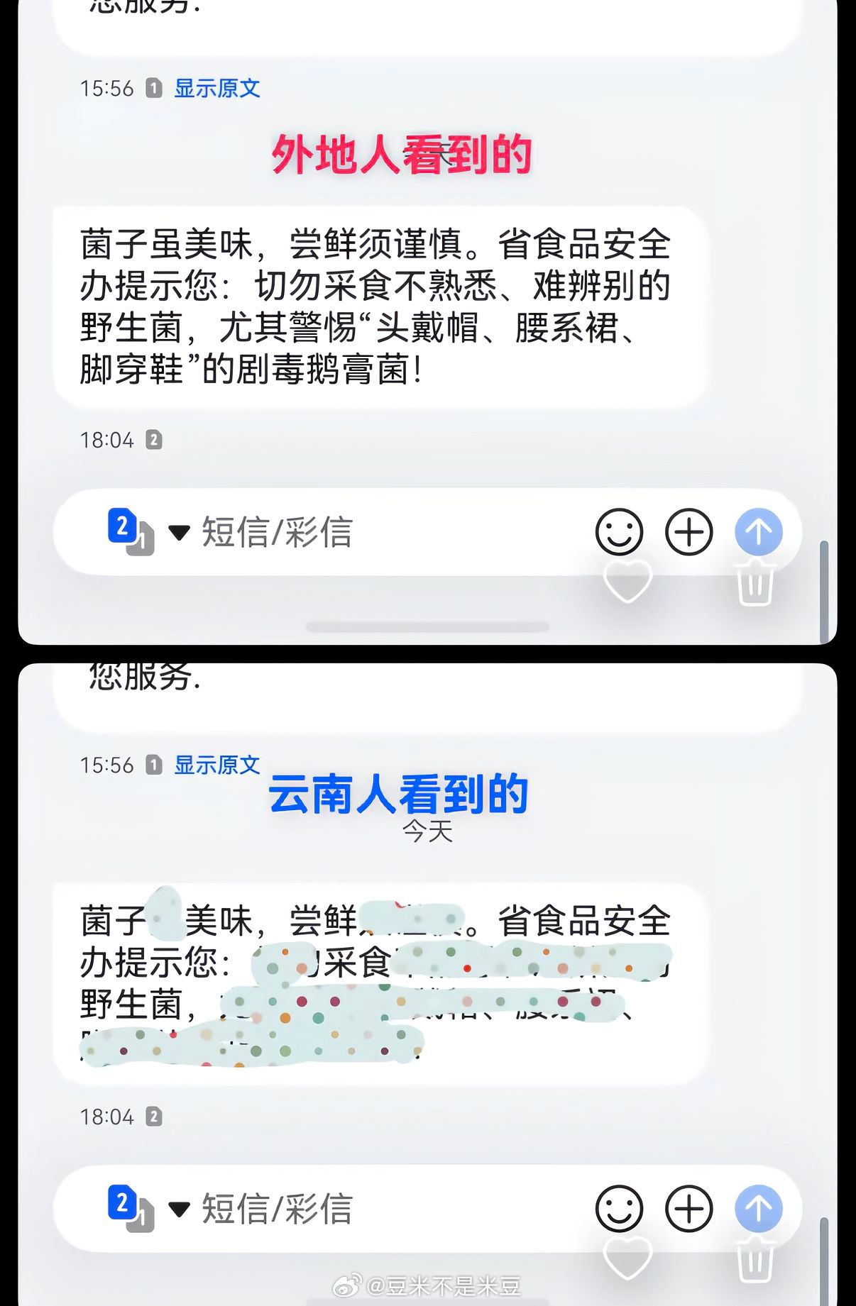 短信就是吃菌的信号😂云南菌子收到短信了