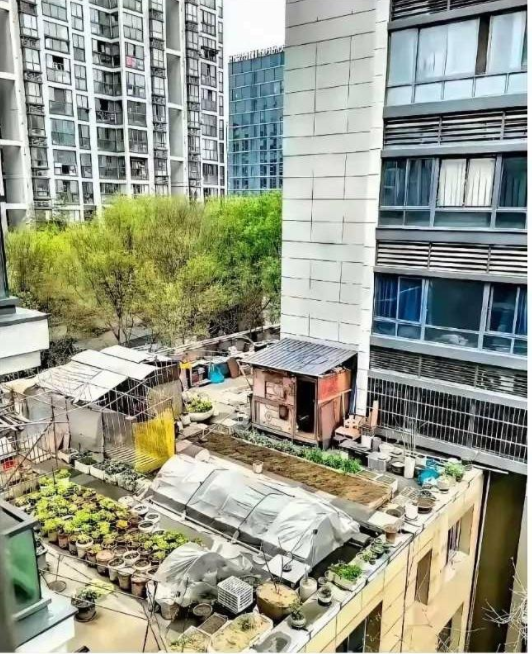 小区都弄成这样了，物业难道不管吗？