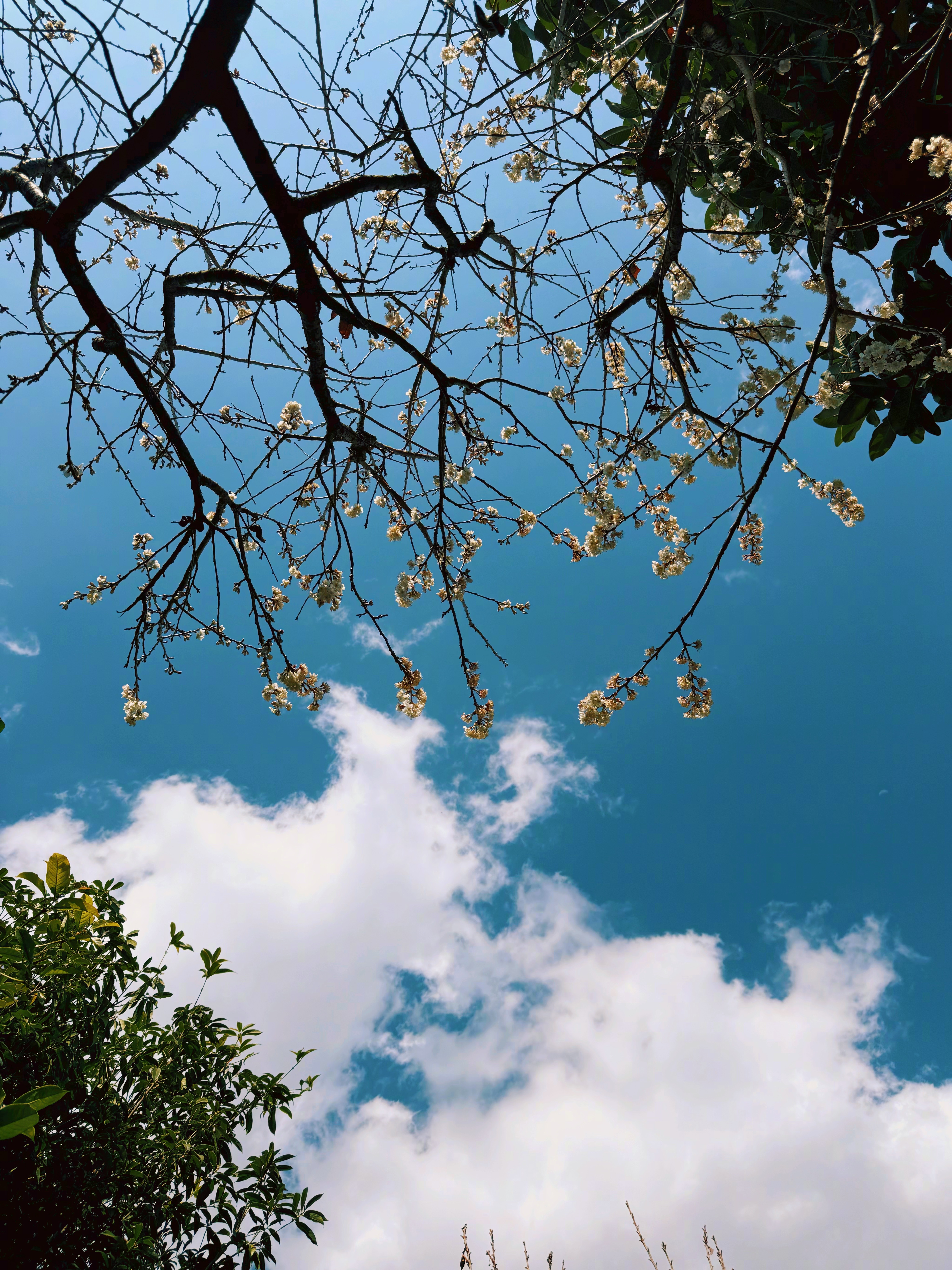 《灵性是什么？》文/半山什么高能量、高维、高维意识、高级认知、灵性……落实在