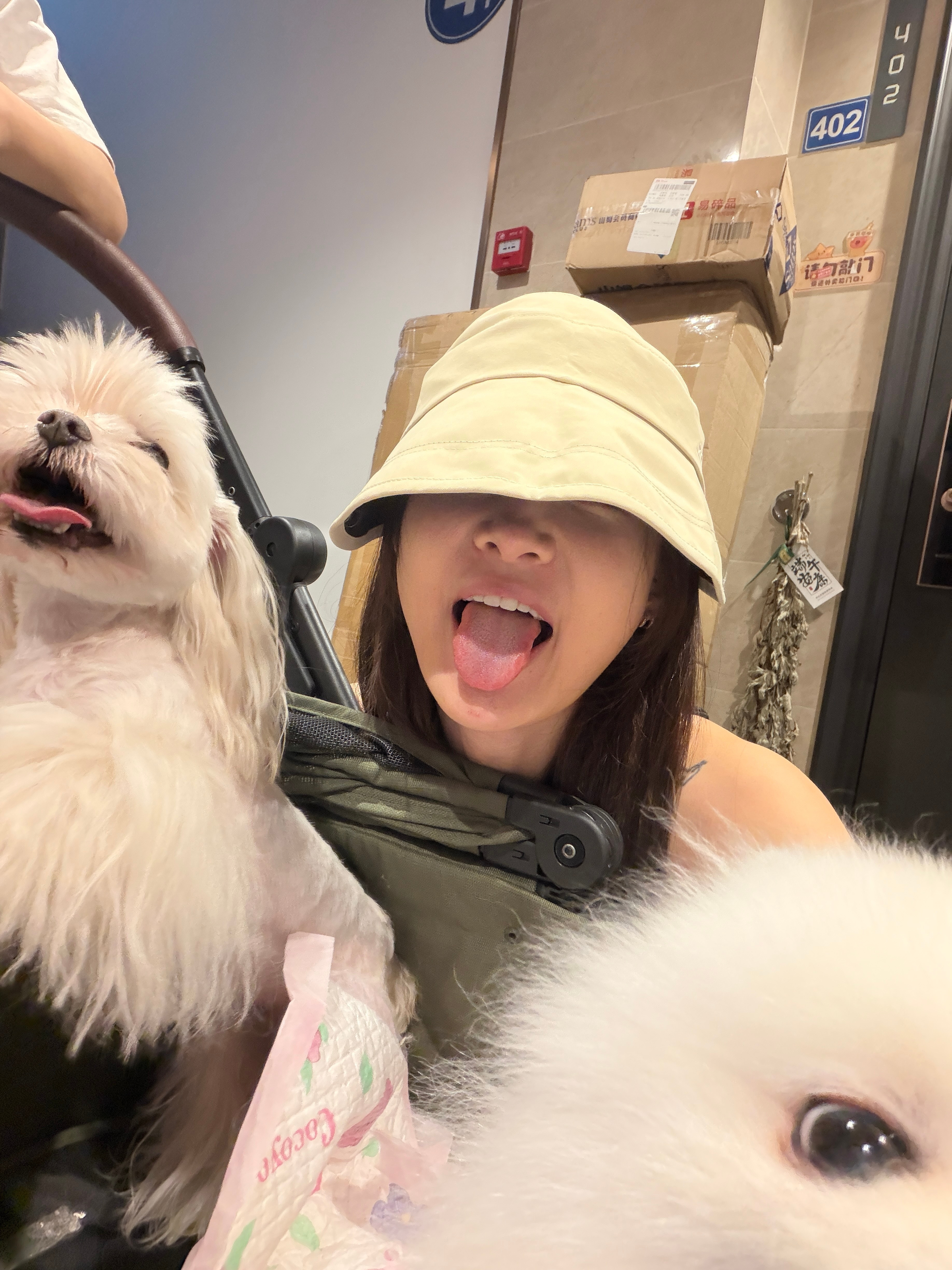 🐶遛狗去咯～