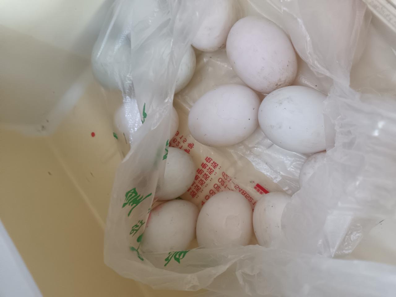 哈哈，沾光了！做照明工程的同学昨天送的茶叶、鸭蛋、还有一只鸭子，常言道"无功不