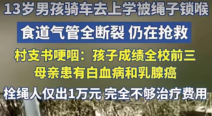 两个困难家庭，竟因一根绳子，都跌进了更深的困境！河南13岁男孩骑车上学被路上的绳
