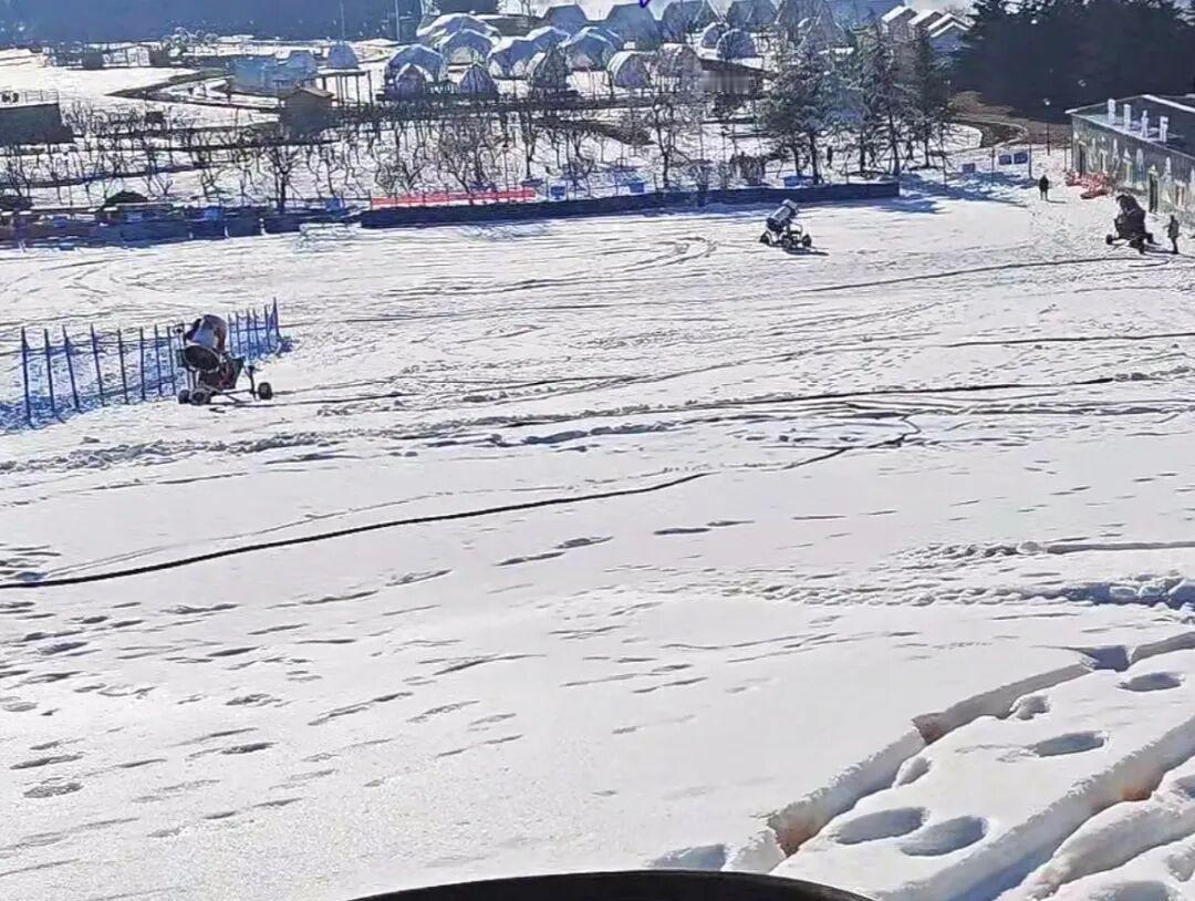冬日生活打卡季近日，青岛市高新区祥茂河湿地公园东岸的绿野森林乐园票价公布，早鸟票