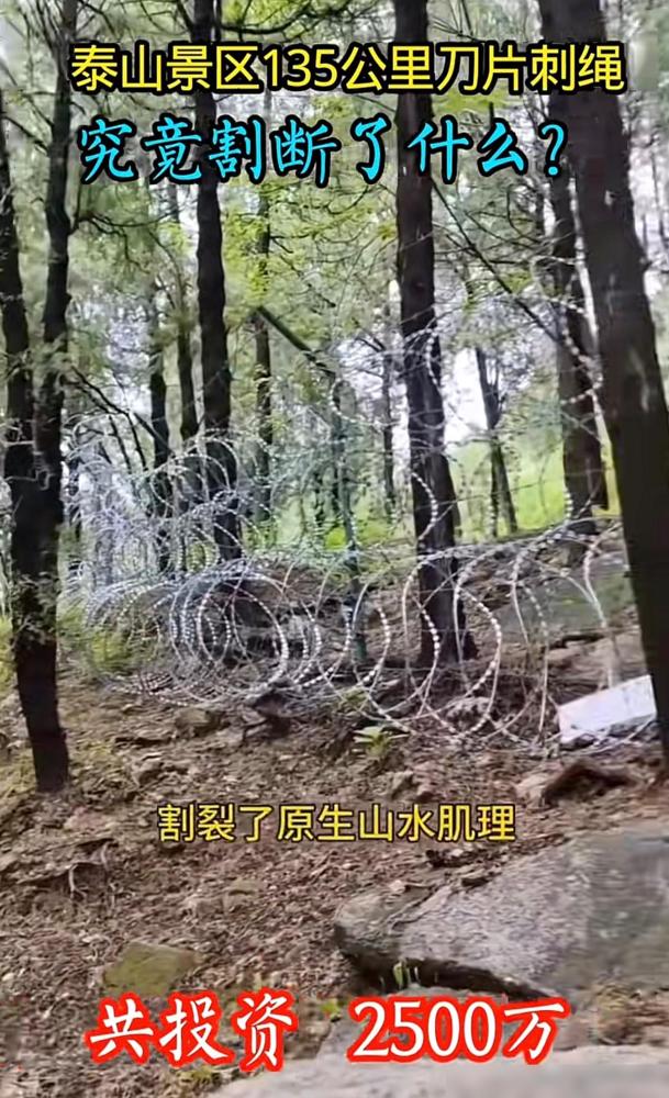 泰山景区135公里安设防护网，投资2500万，泰山门票成人票115元
