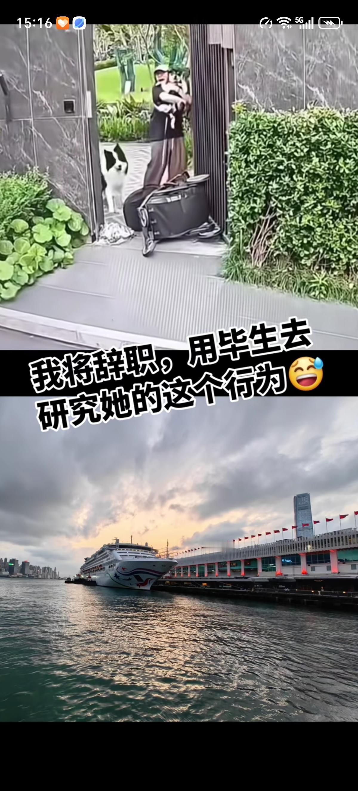 看不懂女子把自己儿子扔地上躺着、把狗抱在怀里好好安慰保护的行为，这是真爱啊。婴儿