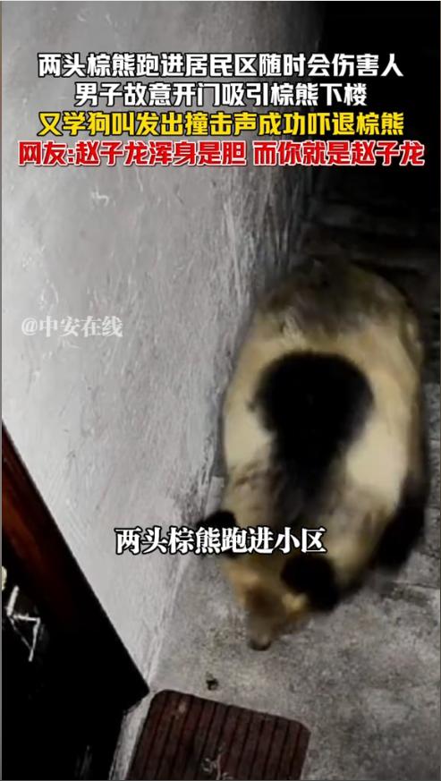 “太可怕了！”近日，西藏，一男子开门后见两头棕熊向楼上爬去，吓得赶紧关门，思考片
