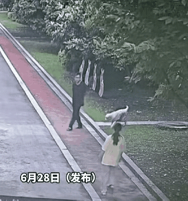 这男人无语了