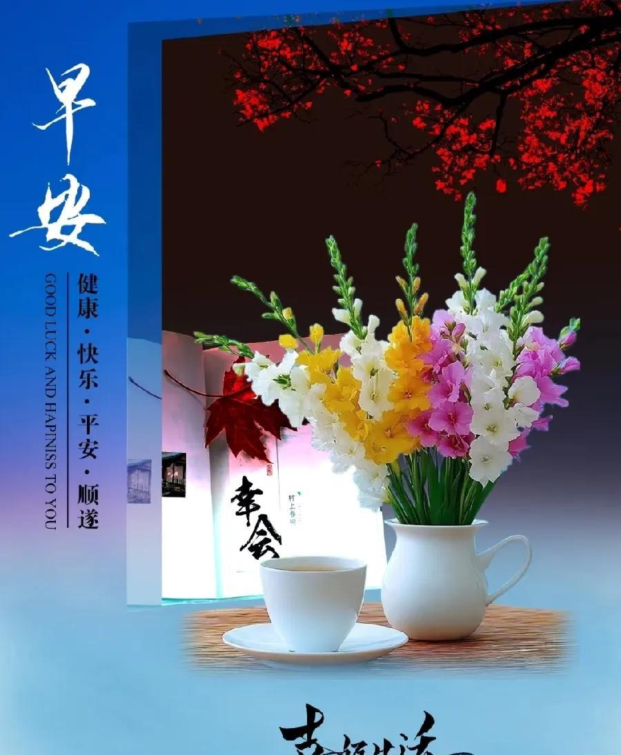 [玫瑰]早上好[玫瑰]情谊无边，心灵相牵感恩缘分，珍惜今天隔屏问候，传我心