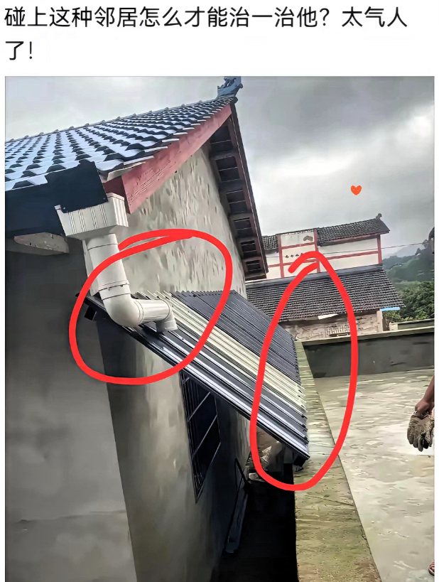 这样的邻居，太过分了吧
