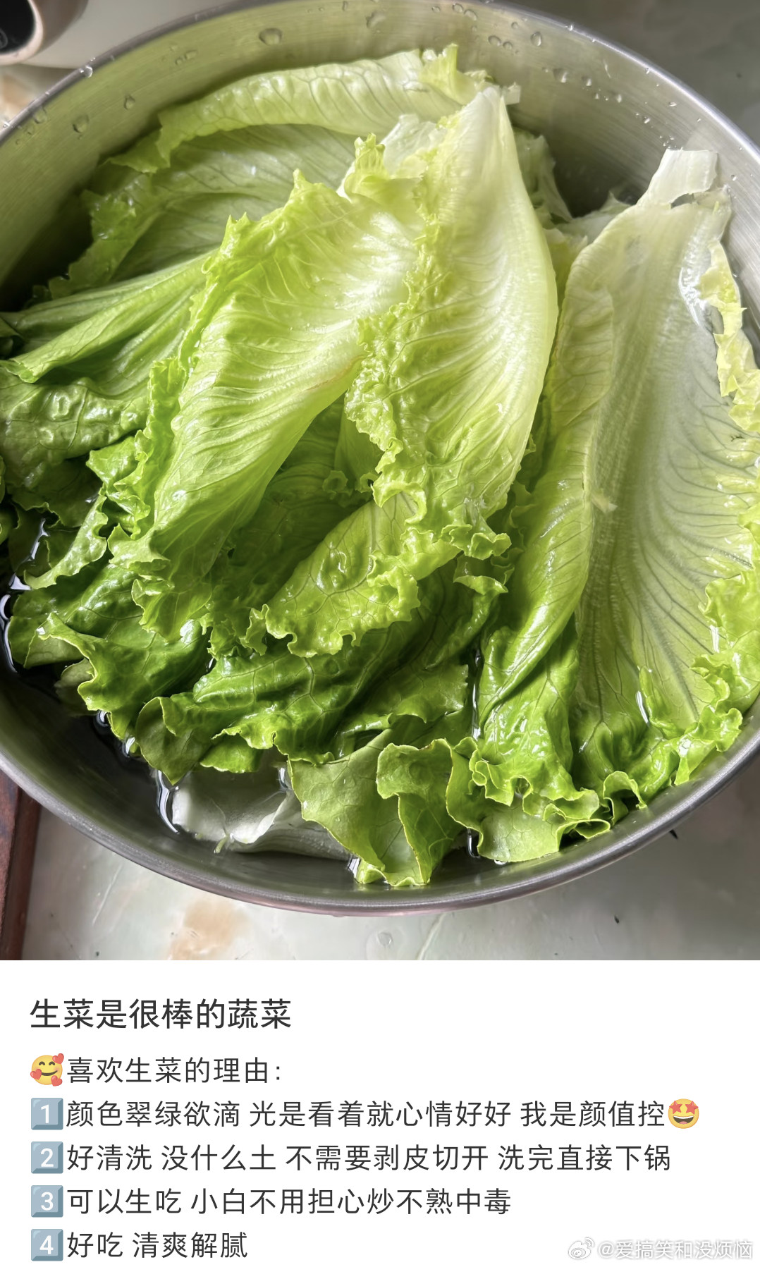 生菜是最伟大的蔬菜，不光是水煮捞出蚝油拌着就很好吃，就连生吃的时候叶子可以当沙拉