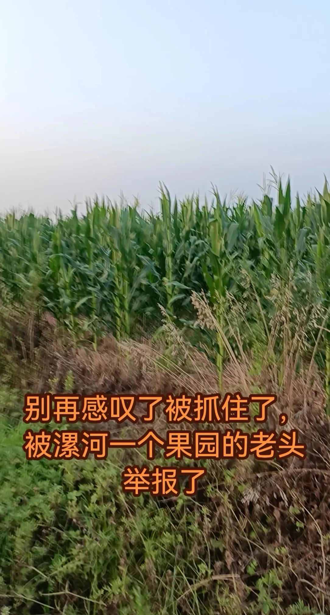 夏付刚后续：人已经找到了，在外面躲了10天，还是没能躲过去，原因是夏付刚去一户