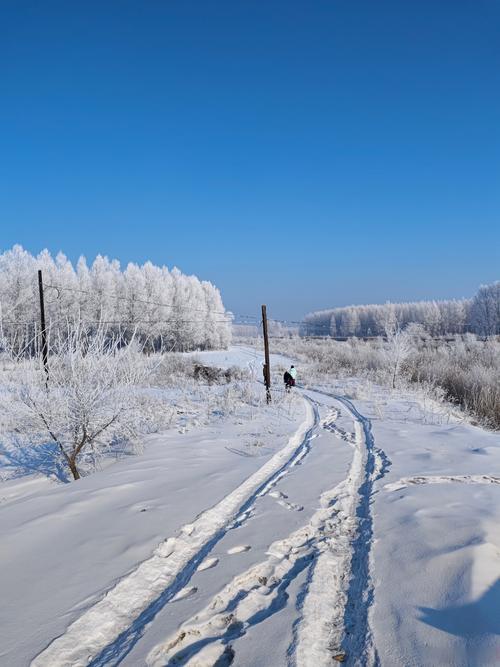 一年四季，每个季节应该有各自的气候和风景，否则怎能叫四季分明？尤其是冬天不下雪