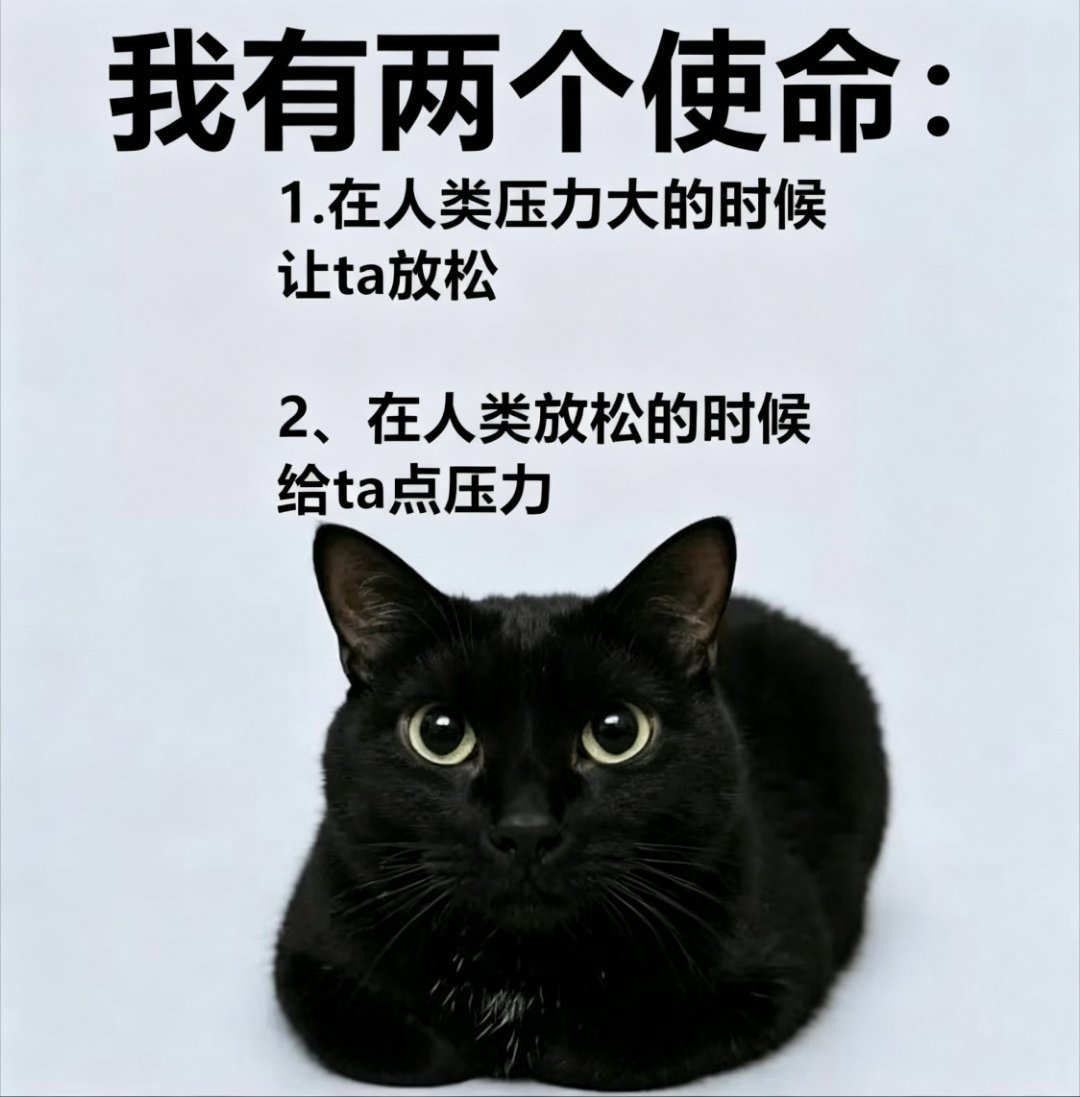 压力平衡memes