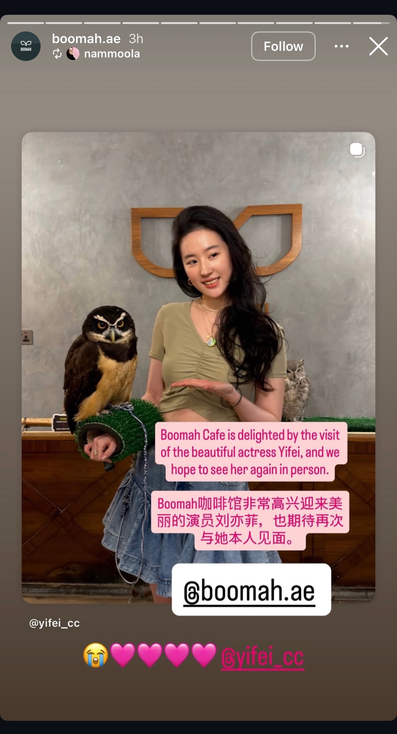 阿布扎比那个猫头鹰咖啡馆的Ins又发了一条还整上中文了怪热情的哈哈谁能不爱我们